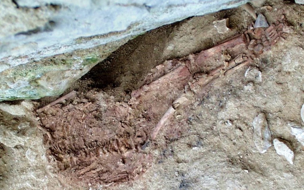 Yeni Radyokarbon Tarihlemesi Lapedo Child’ın Yaşını ve Neandertal-İnsan Etkileşimini Ortaya&nbsp;Koyuyor