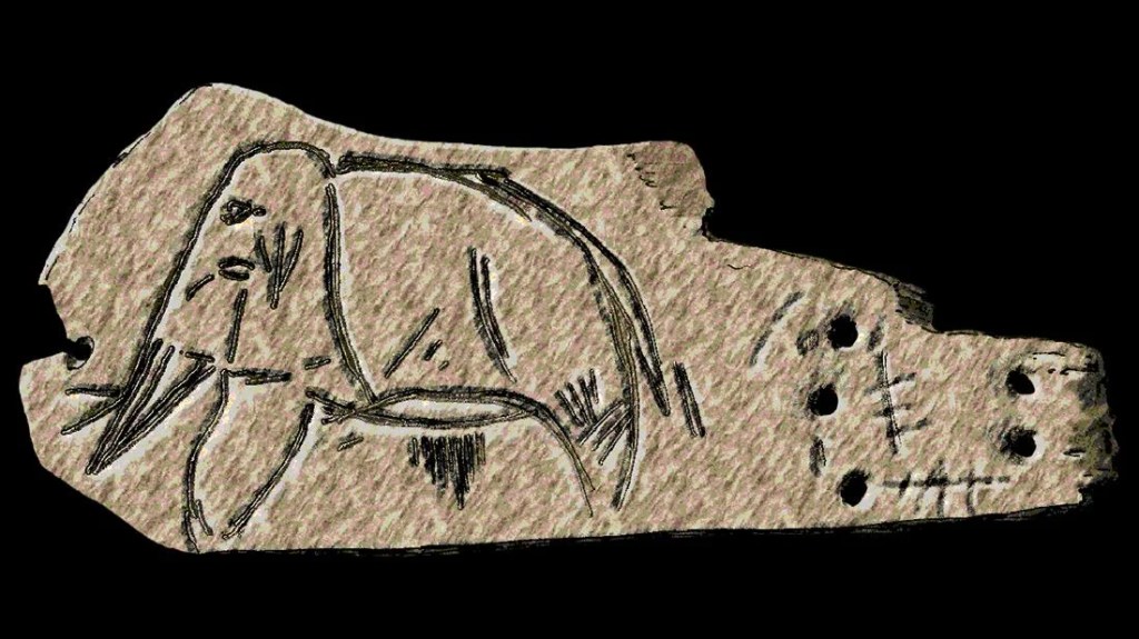 Ukrayna’da Bulunan 400.000 Yıllık Fildişi Aletler İnsan İnovasyonunun Zaman Çizelgesini Yeniden&nbsp;Yazıyor